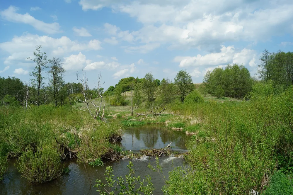 Тулица