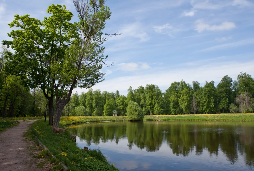Парк (Марфино)