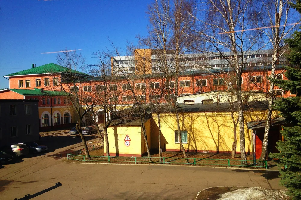 Изогородок «Всекохудожника»