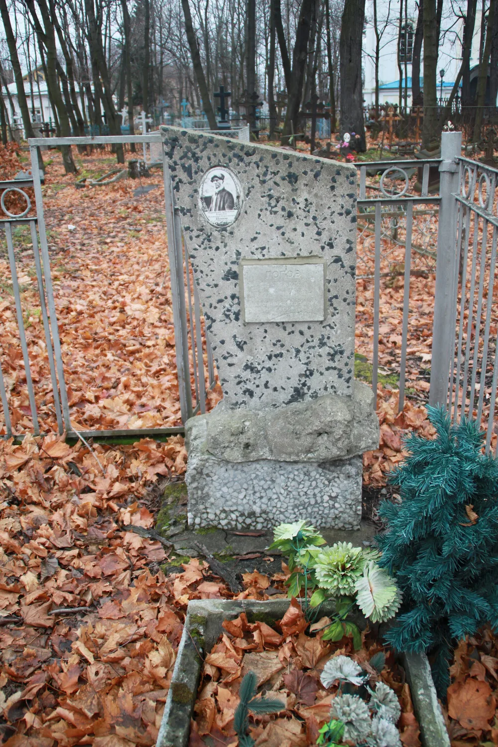 Могила Попова В.Н. (1869−1945), народного художника Карельской АССР (Петрозаводск)