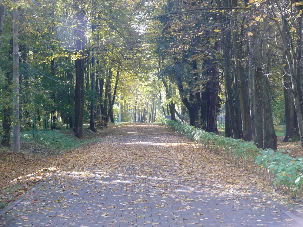 Парк (Захарово)