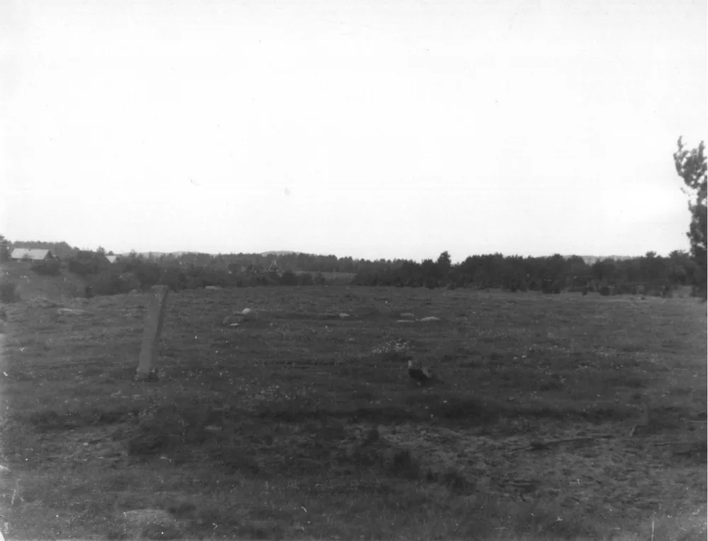 Селище 1 (Бунгино)