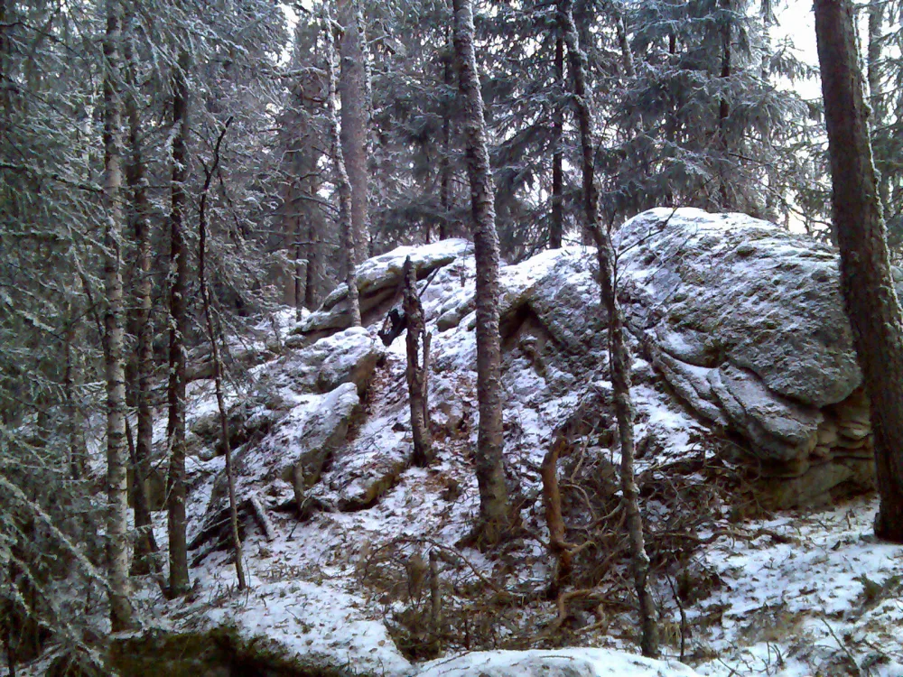 Устинская