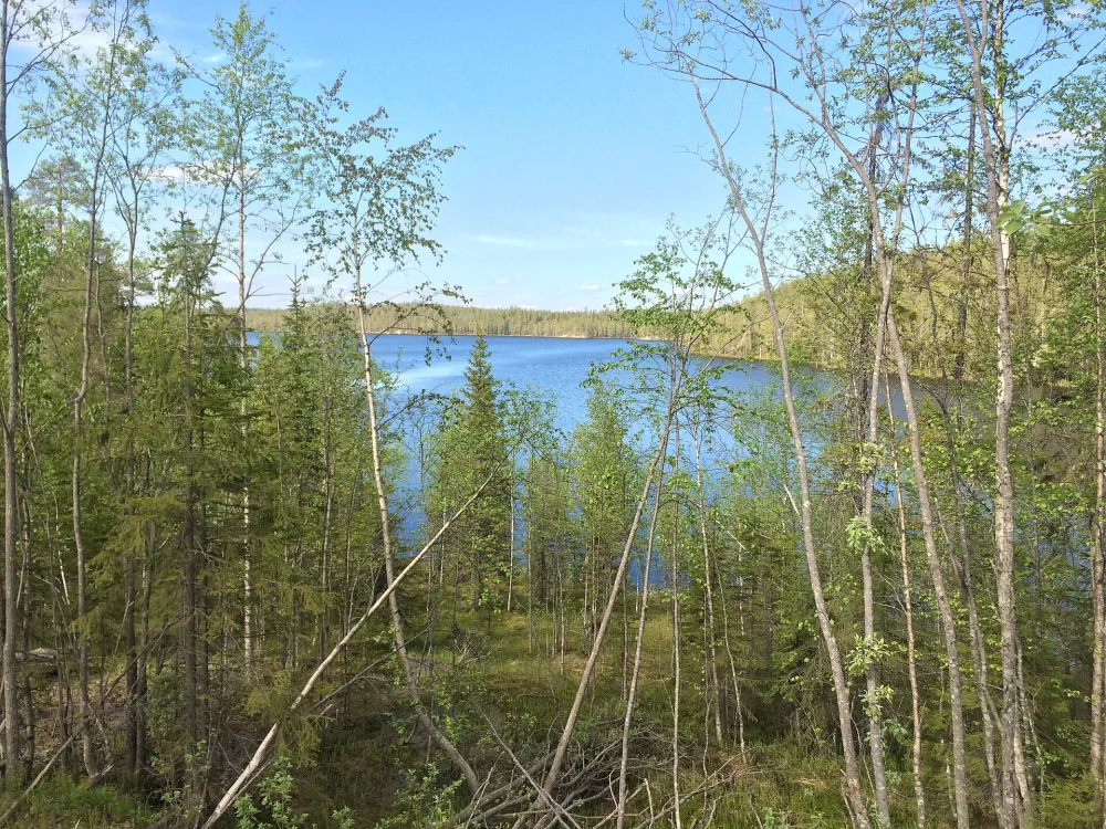 Карниз (озеро)