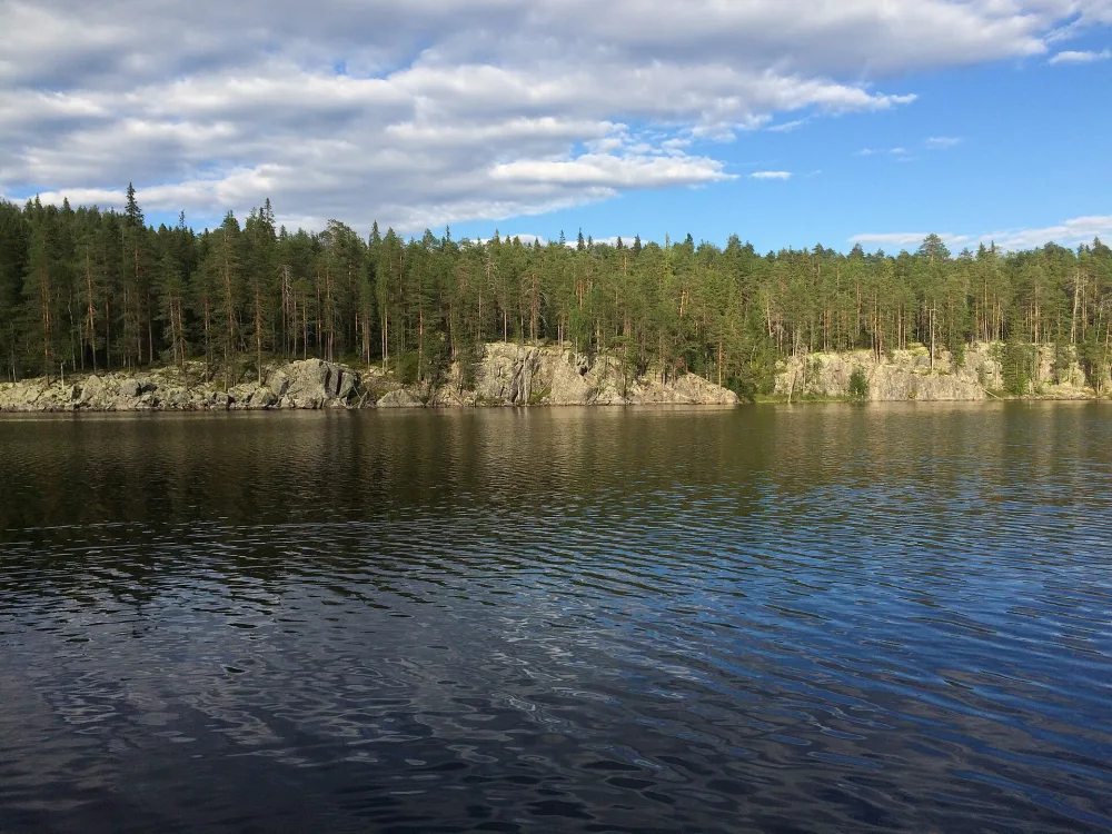 Пизанец