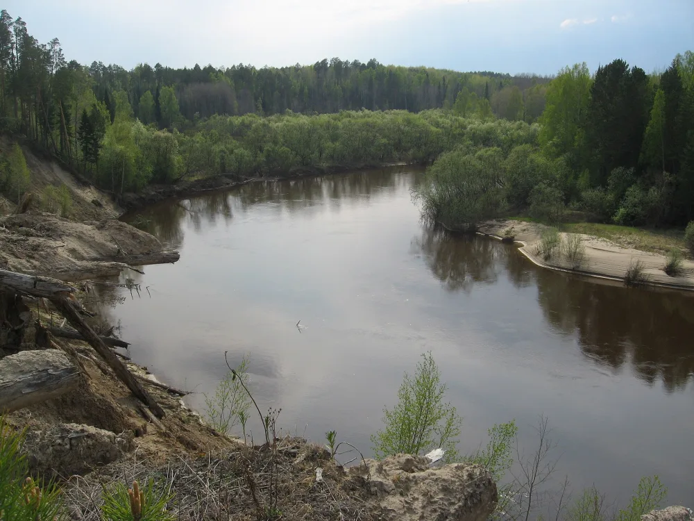 Чижапка