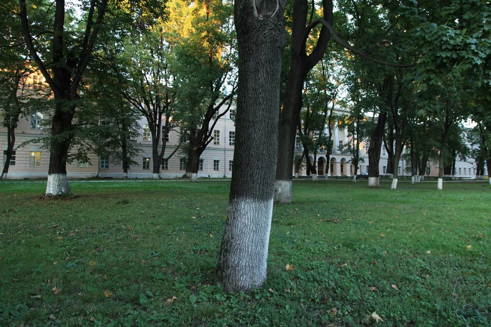 Парк (Марьина роща)