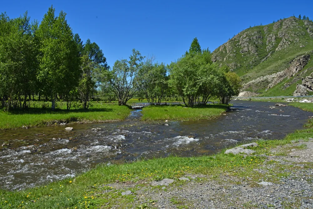 Урсул