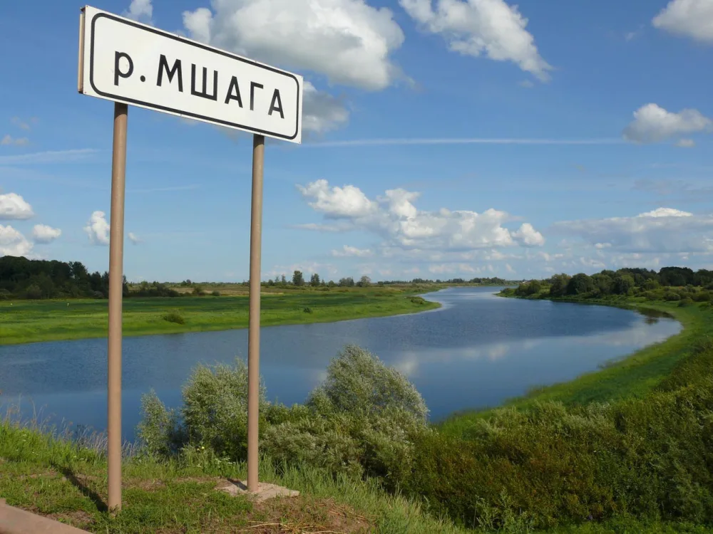 Мшага