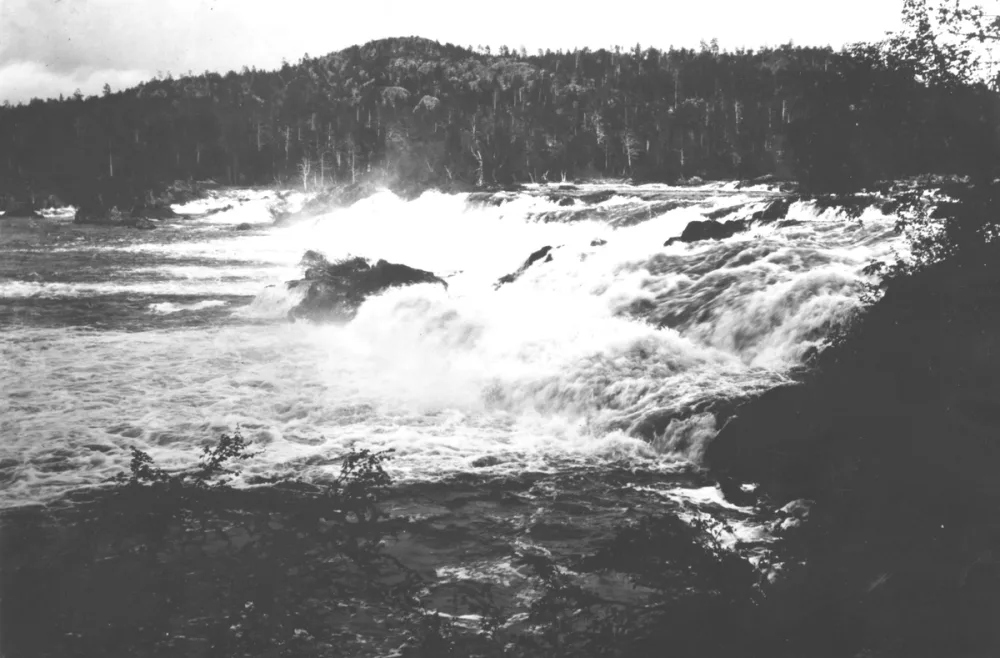 Skogfoss
