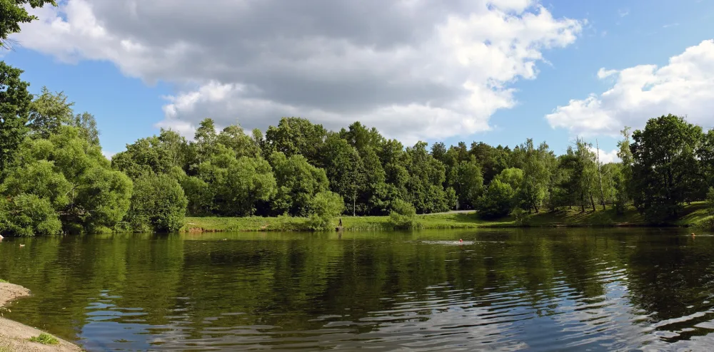 Парк (169,6 га) с прудами (Ясенево)
