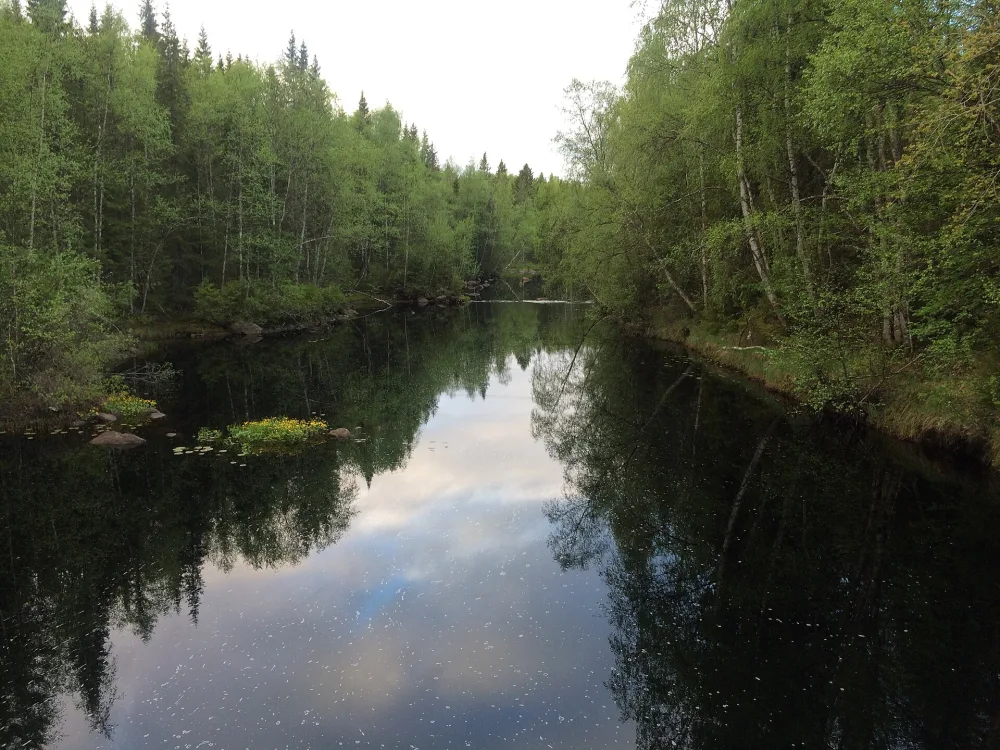 Березовка