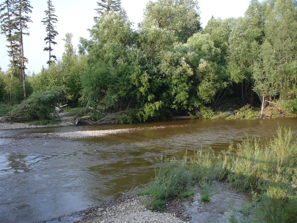 Амгунь