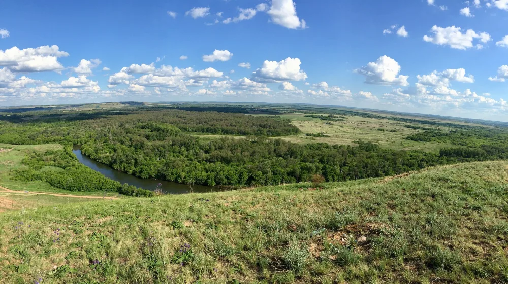 Большой Кинель
