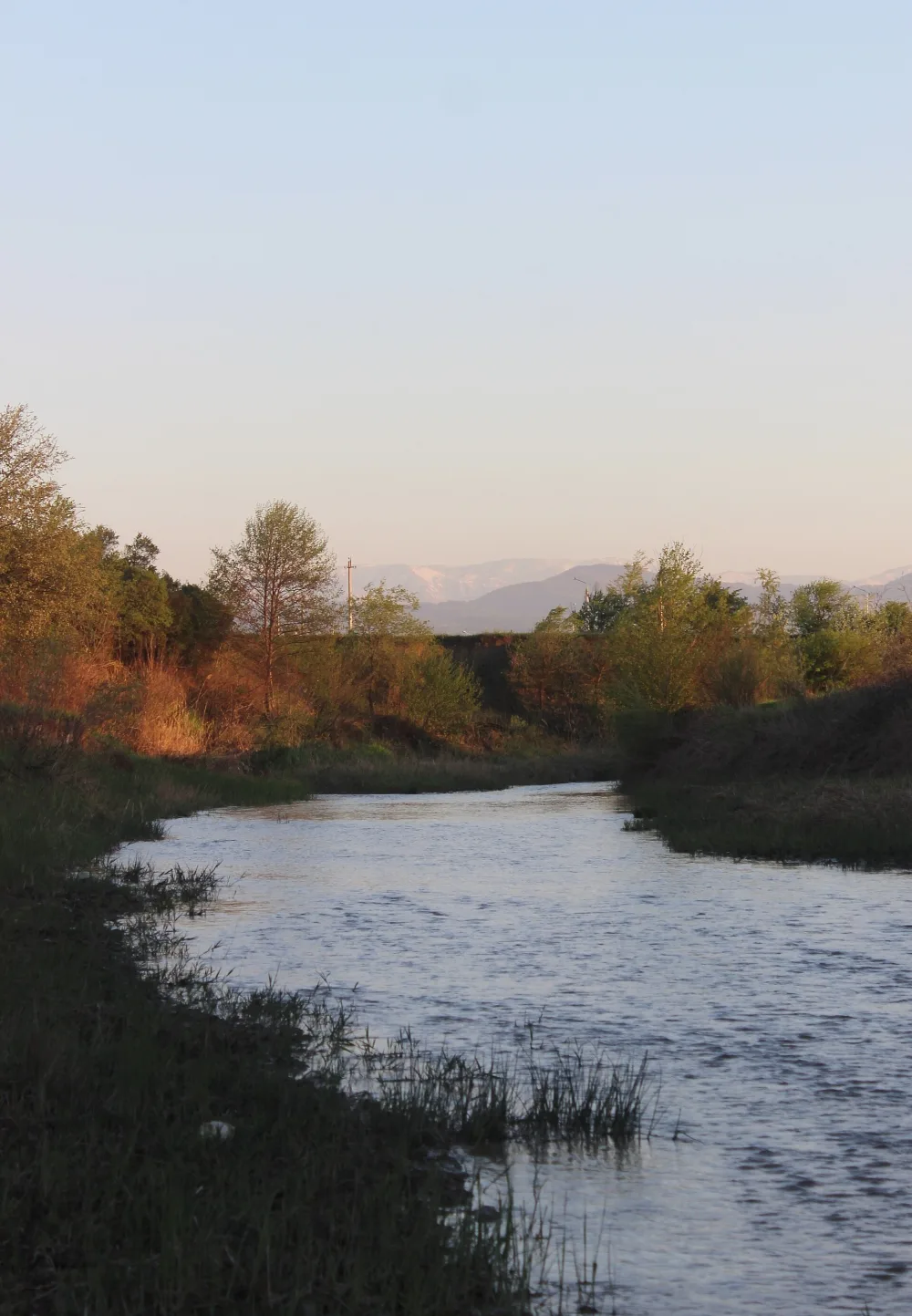 Белка