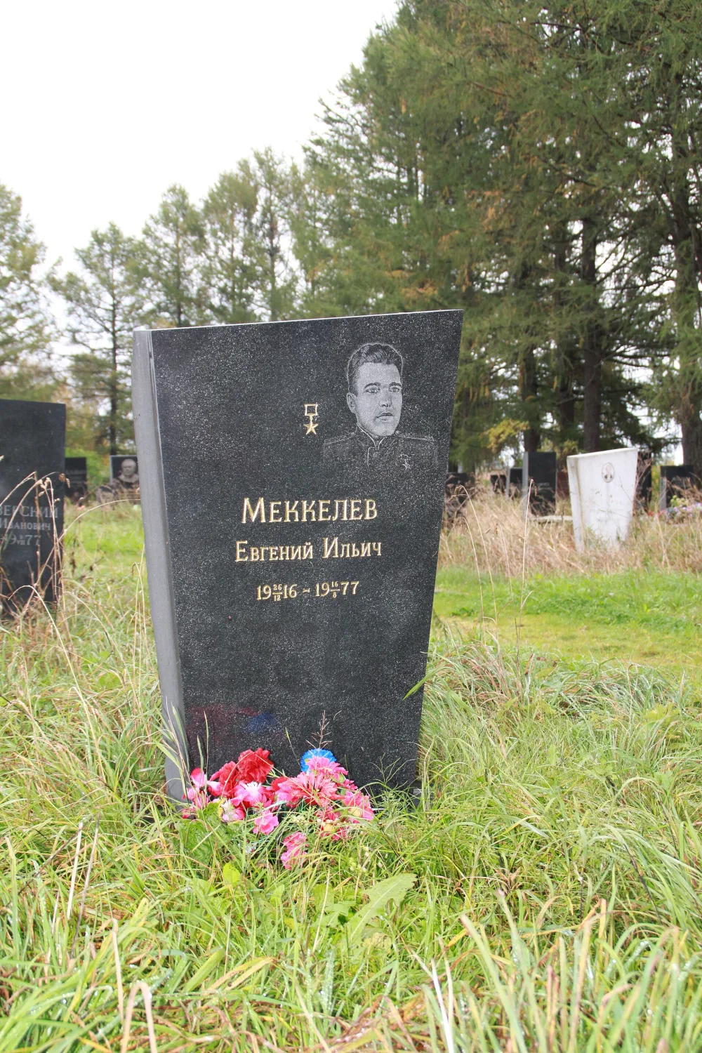 Могила Меккелева Е.И. (1916−1977), Героя Социалистического Труда (Петрозаводск)