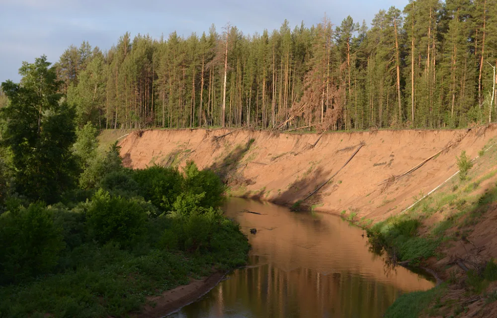 Боровка