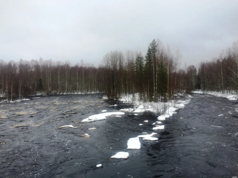 Каратйоки