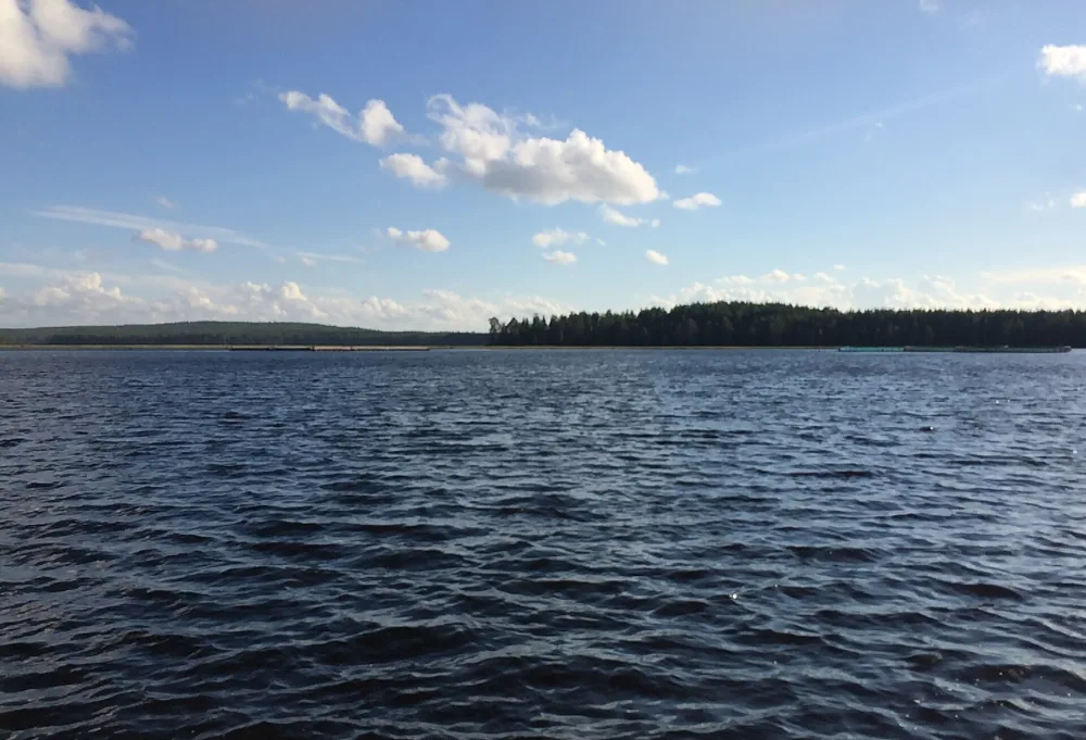 Новинка (озеро)