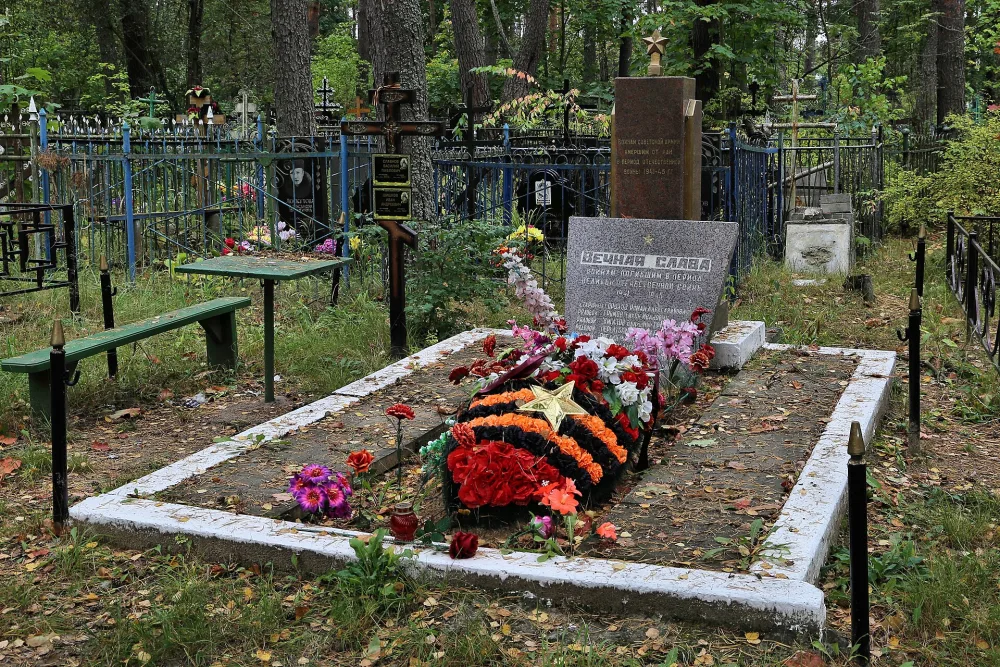 Братская могила советских воинов, умерших от ран в госпитале (1941-1945) (Покров)
