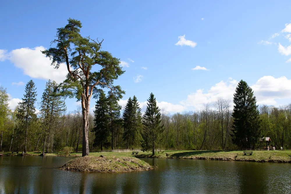 Парк с прудами (Раёк)