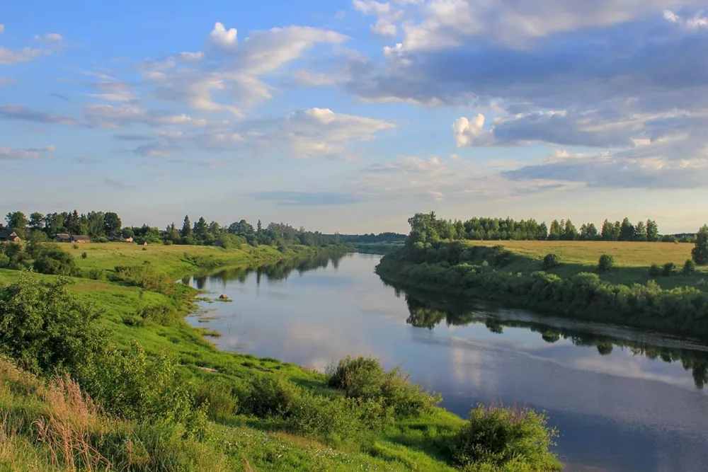 Курганная группа (Шабаны (Носово))
