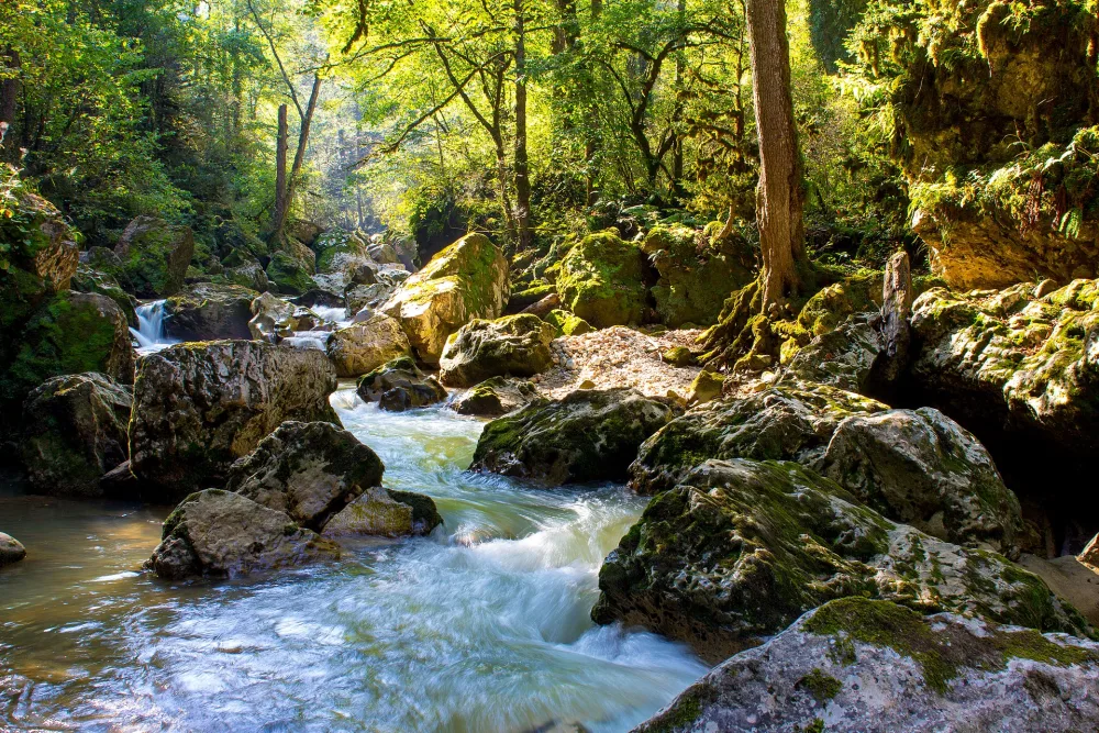 Курджипс