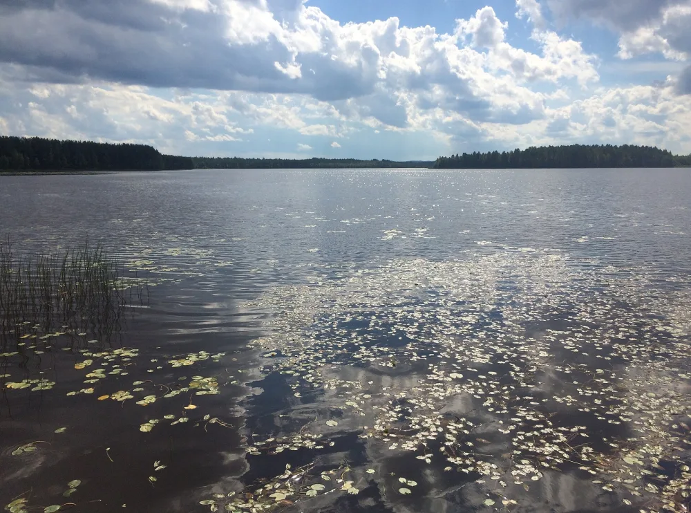 Нёлгомозеро (озеро)