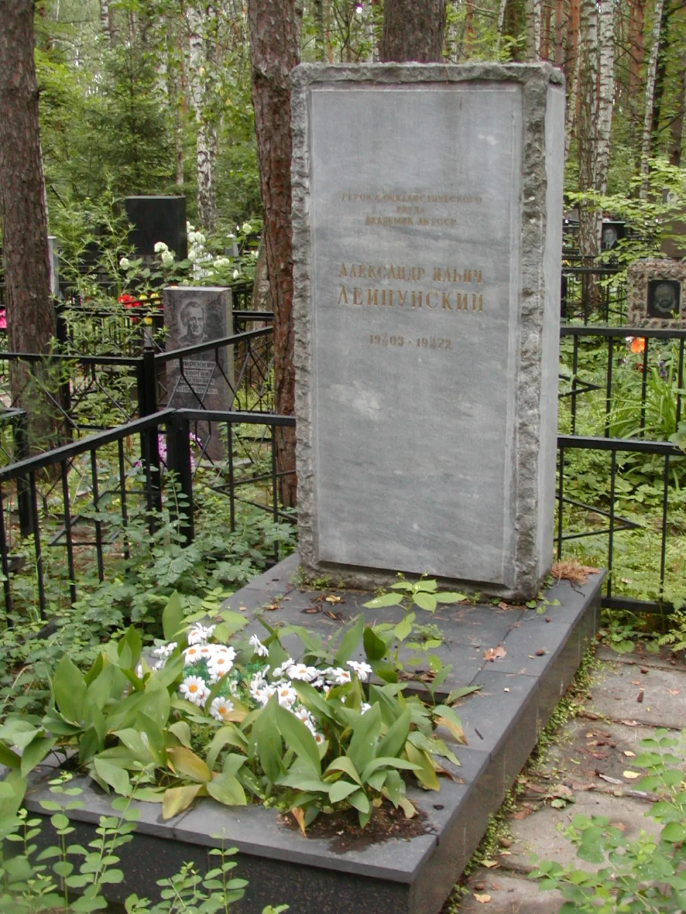 Могила Героя Социалистического Труда, лауреата Ленинской премии А. И. Лейпунского (Обнинск)