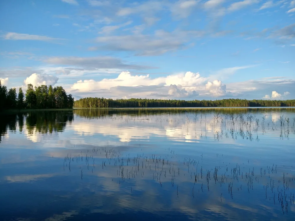 Сяксъярви
