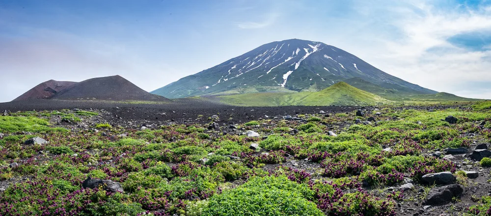 Алаид