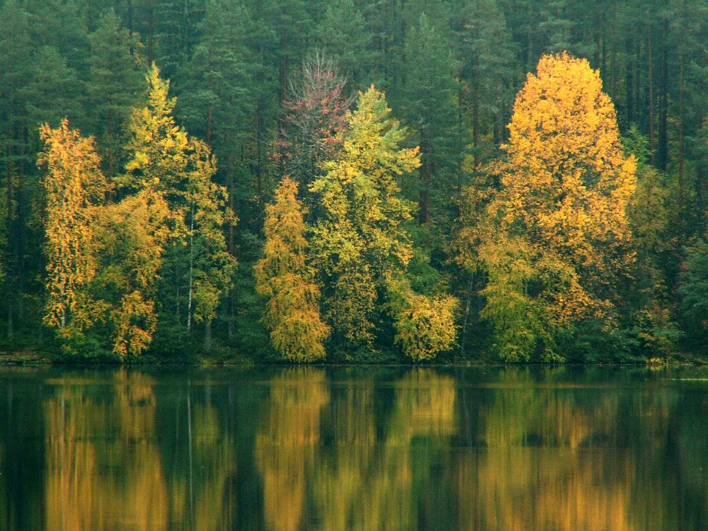 Узорное