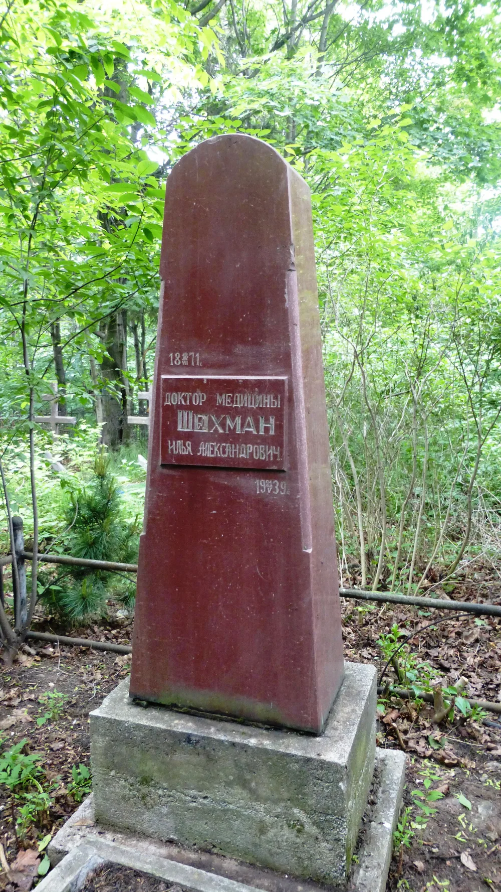 Могила Шехмана И.А. (1871−1939), врача, Героя Труда (Петрозаводск)