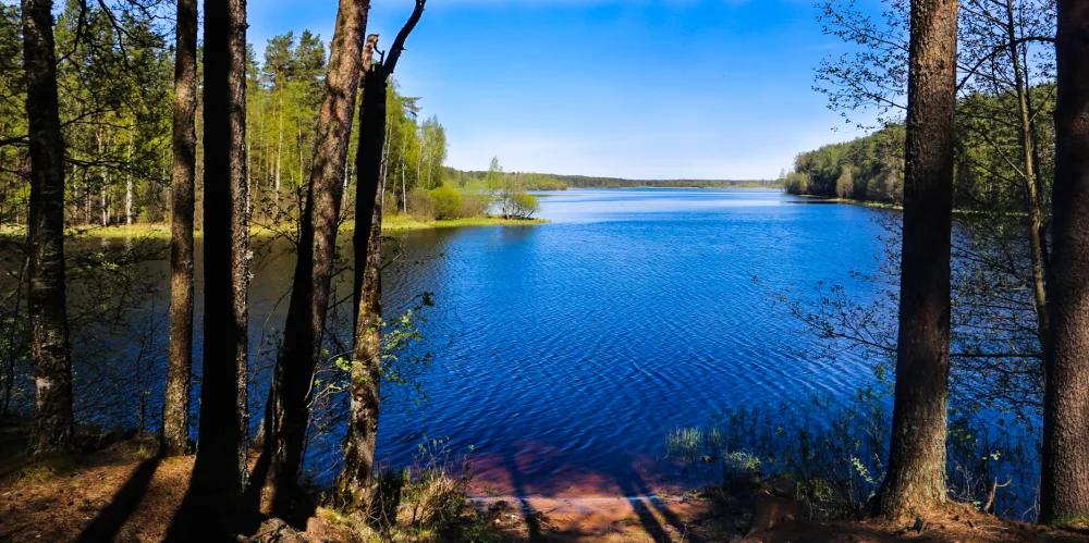 Ужинское