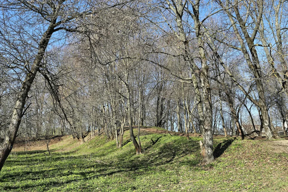 Городище «Боголюбово» (валы и культурный слой) (Боголюбово)