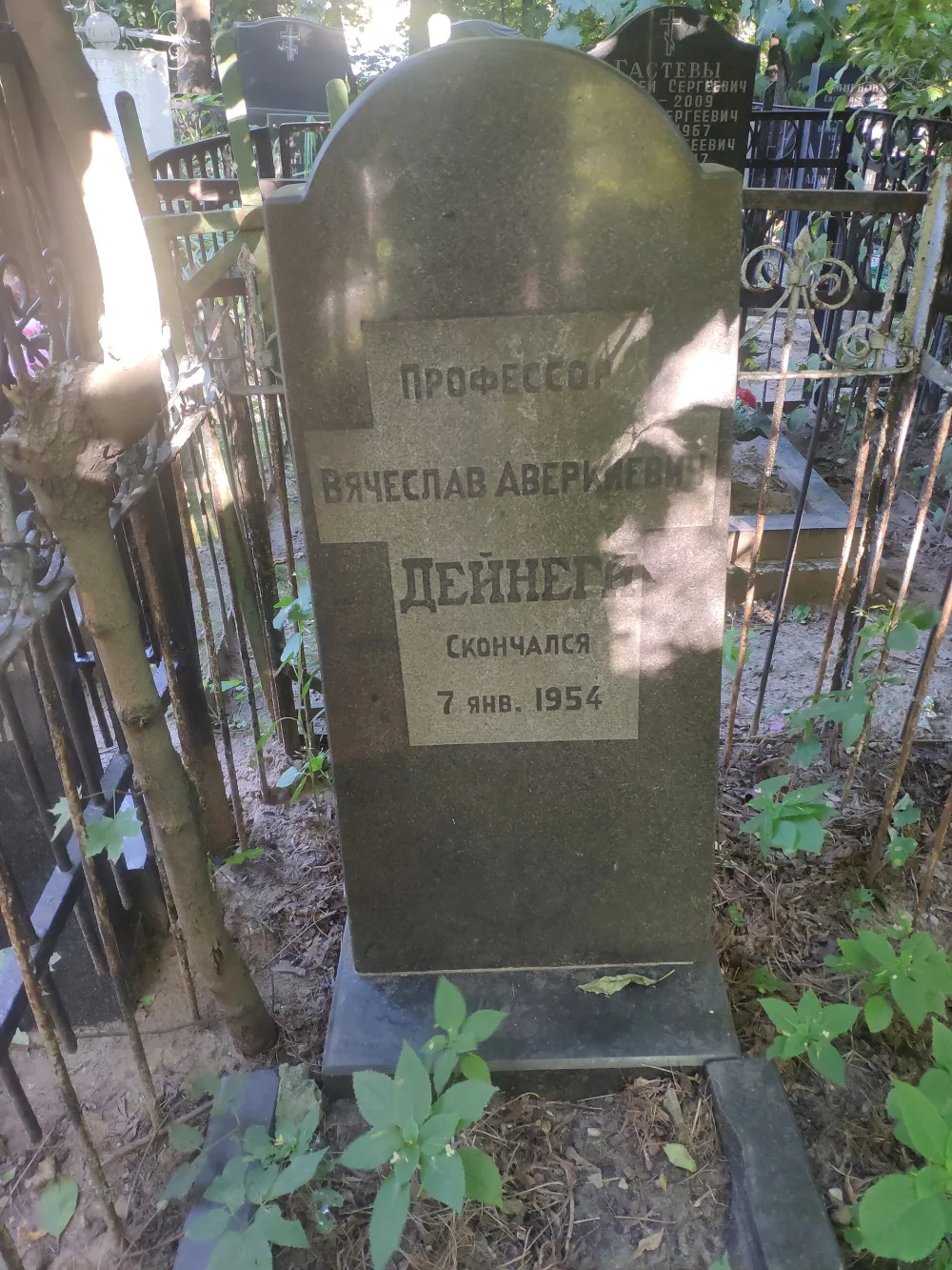 Могила Дейнеги Вячеслава Аверкиевича (? - 1954), ботаника (Алексеевский)