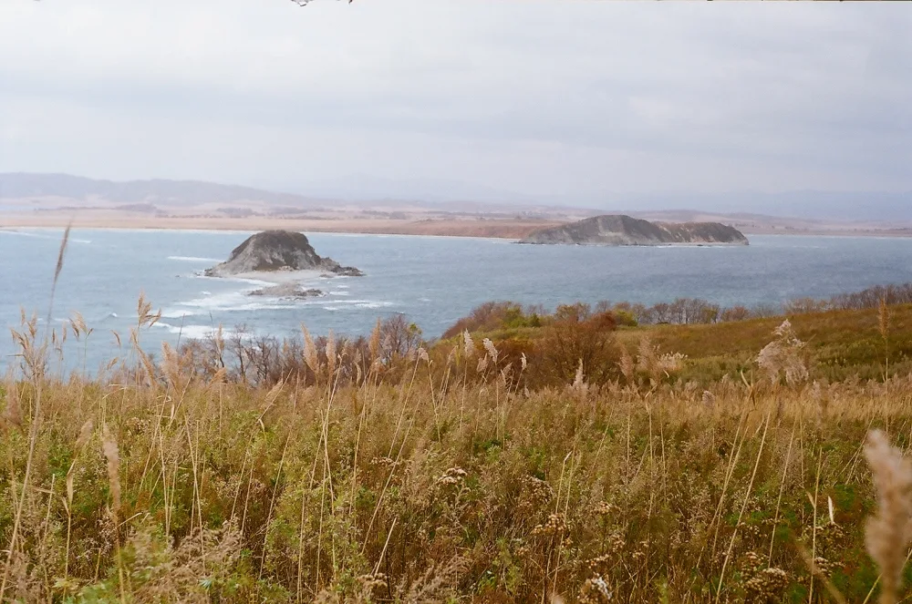 Малый Гаккель (остров)