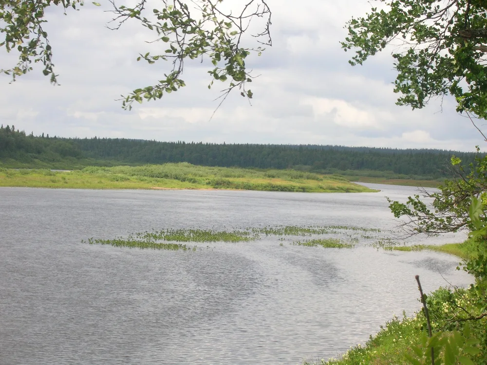Варзуга
