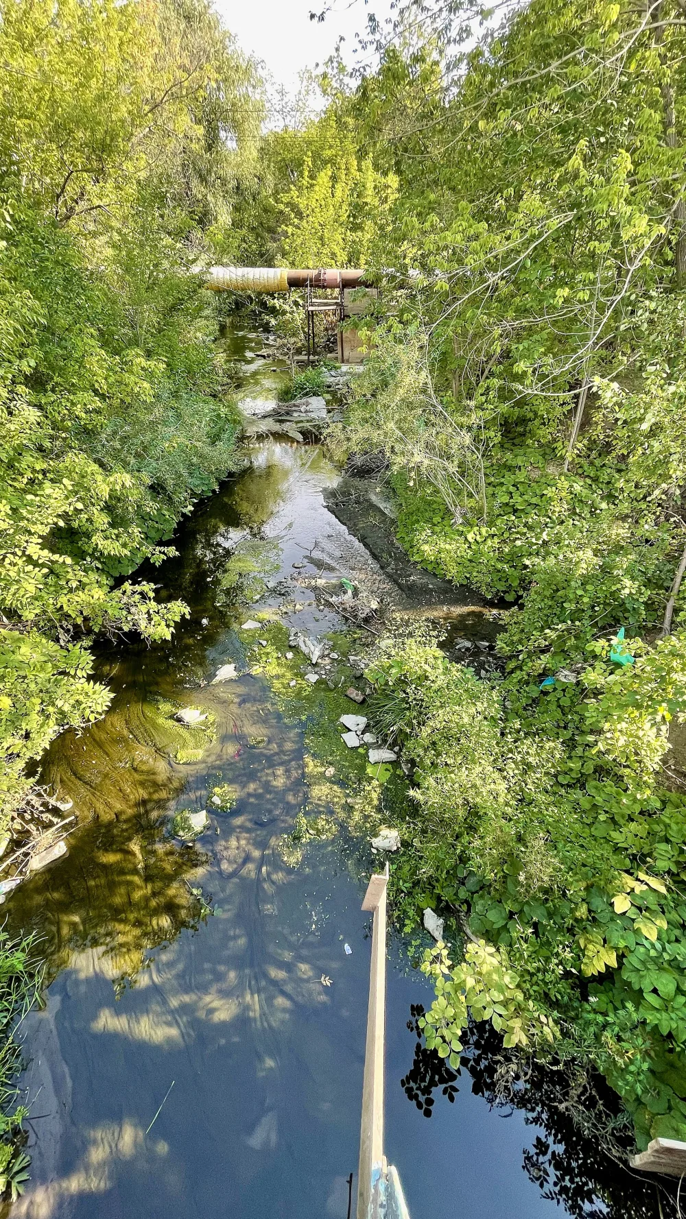 Елшанка