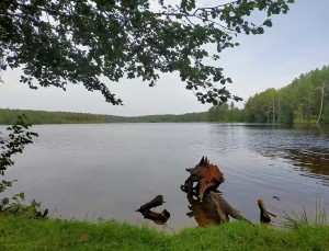Щучье озеро