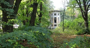 Сад (Кронштадт)