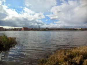 Курашимовка