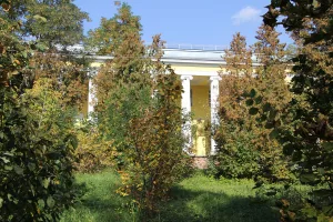 Парк (Балашиха)