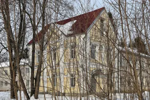 Флигель (Патакино)