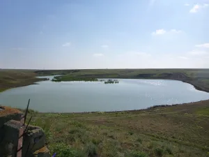 Кривая