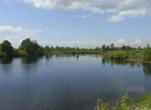 Веряжа