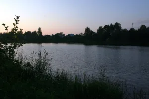 Сясь