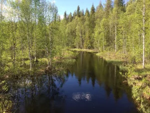 Кулат