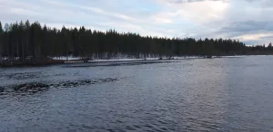 Петриярви