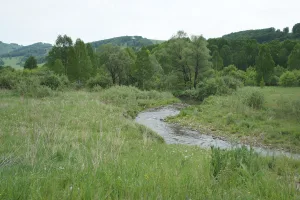 Дрезговитная